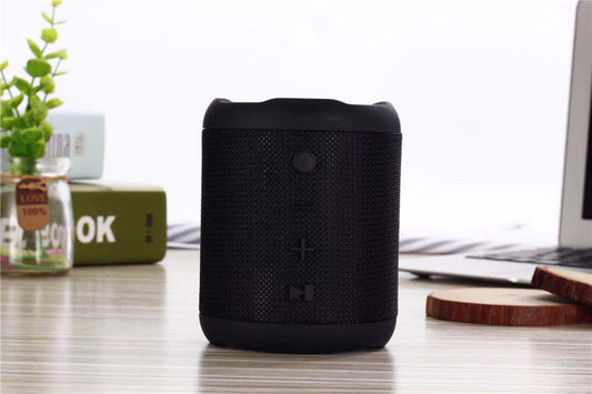 Mini Portable Speaker